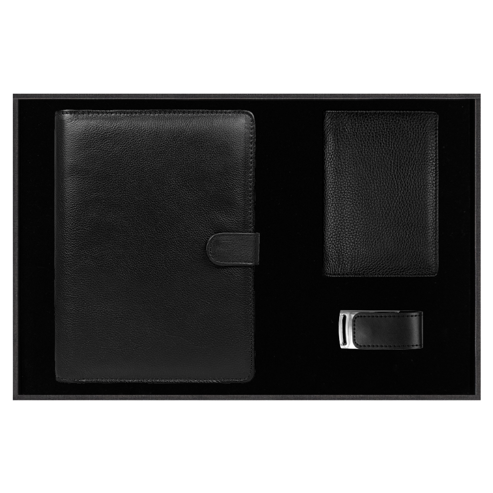 Набор подарочный Solution Prestige Quadro (Блокнот Alfa Polo Line в суперобложке Country Leather Sky, обложка для автодокументов Leather Sun, флеш накопитель Shine