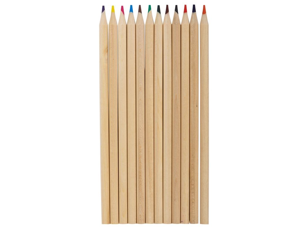 Набор из 12 карандашей "Paint"